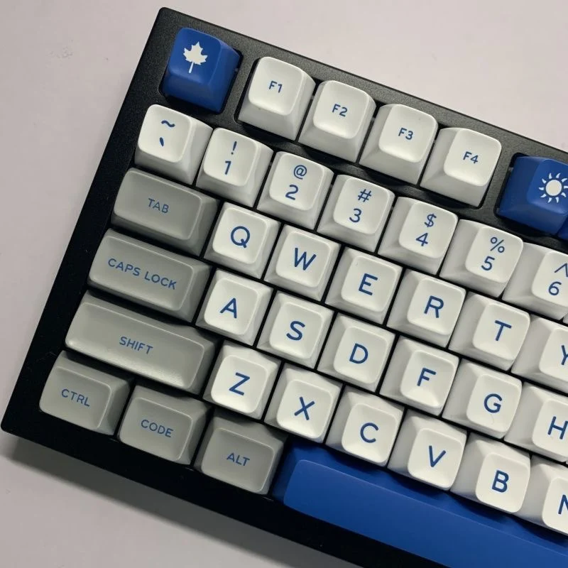 

Gray-white-blue large-leaf keycap SA height ABS two-color 173-key full set