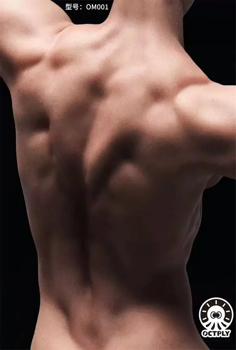 OCTPLY OM001 1/6 مقياس ذكر الجندي شكل عضلات واقعي شامل هلام الذكور الجسم صالح 12 ''عمل الشكل في الأوراق المالية #6