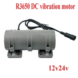 DC Small Vibration Motor Speed Adjustable DC 12V 24V for Warning Systems Massage Bed Chair 3800RPM