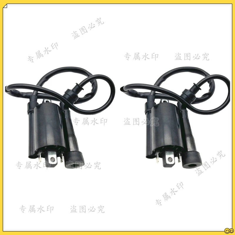 

2Pcs Motorcycle Ignition Coil Ignition System Unit For Yamaha V Star 650 1999 -2014 GN250 ATV 300CC-A14Z
