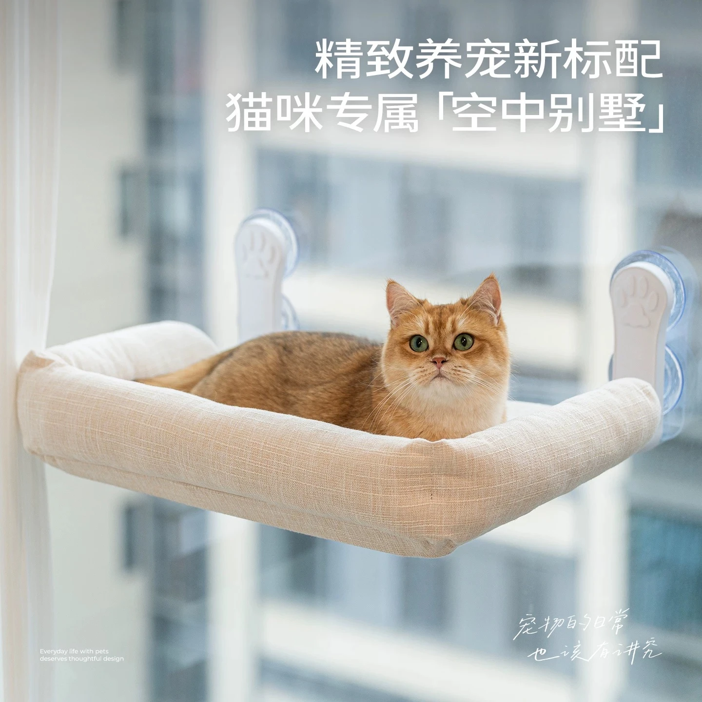folding-suction-cup-cat-window-hammock-summer-glass-cat-bed
