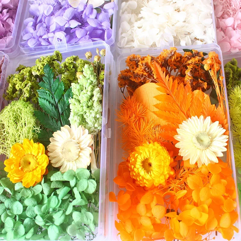 Confezione in scatola di fiori secchi Borsa in materiale per fiori eterni Cornice fai-da-te Bottiglia di vetro Colla a goccia Produzione artigianale di fiori reali fatti a mano