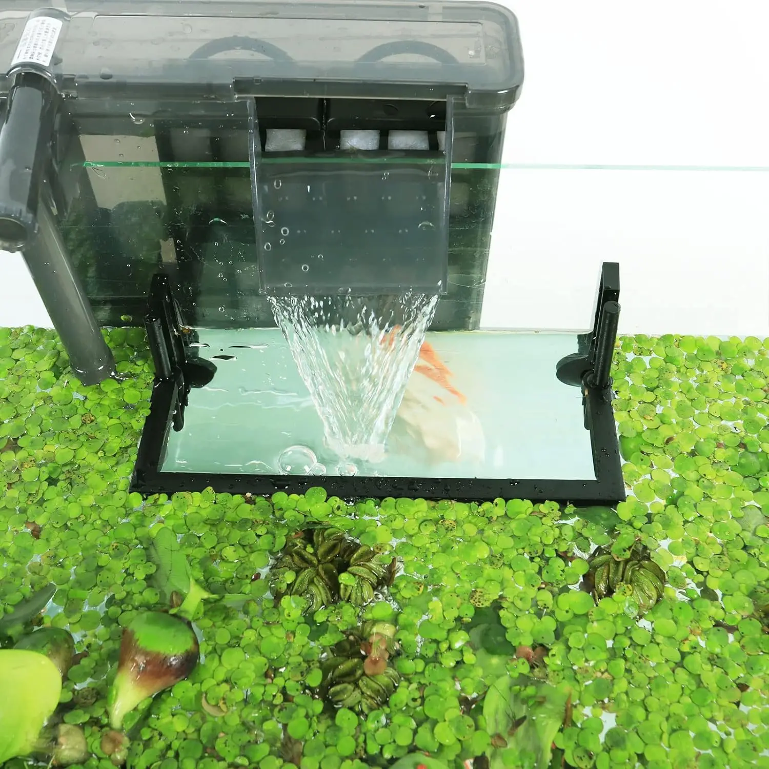 Aquarium Floating Plant Corral, Intercepting Floating Plants From Filters and Heaters, Adjustable Height with Water Level