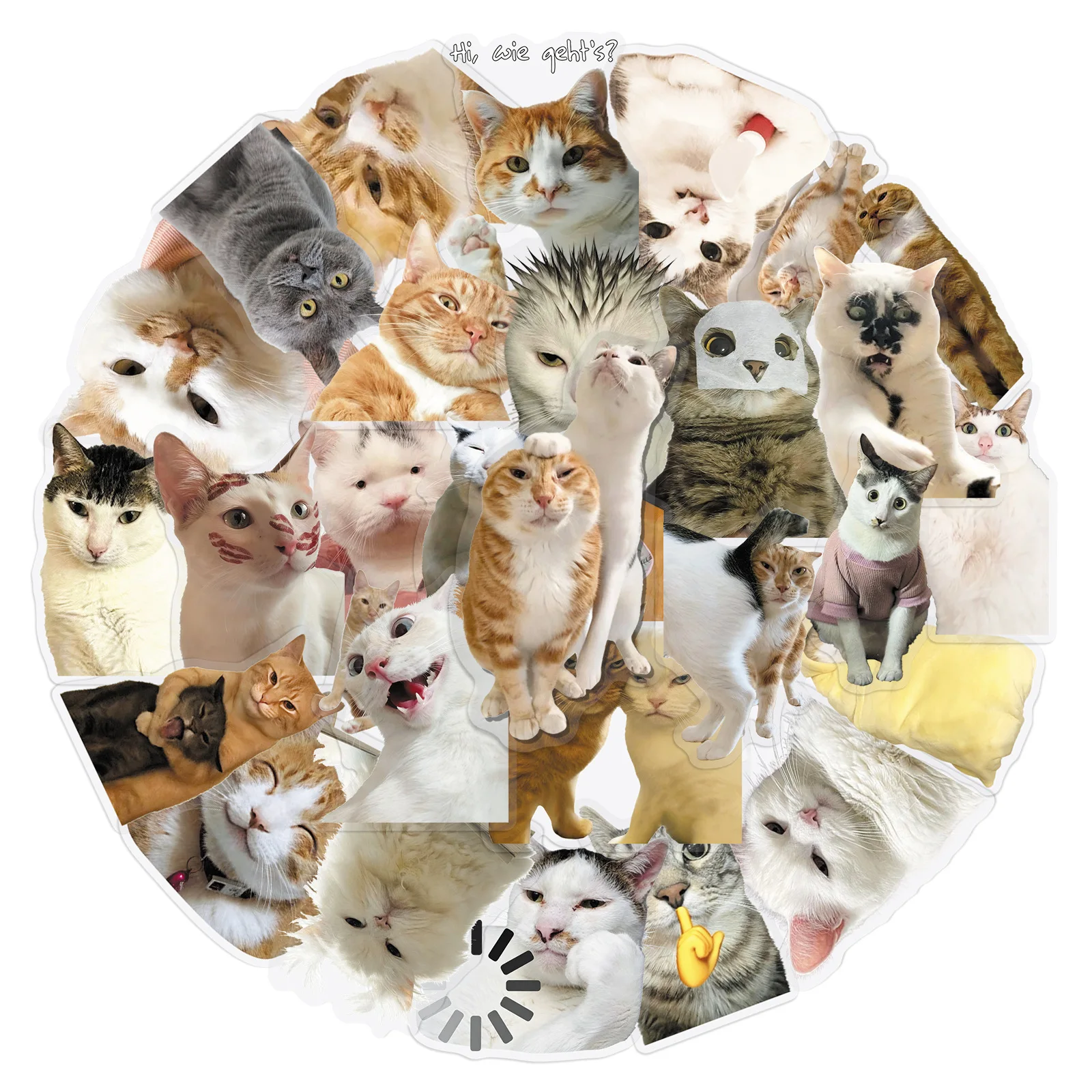 30/50pcs Funny Realistic Cat Animal Transparent PET Stickers for Phone Tablet Luggage Notebook Decorative Stationery