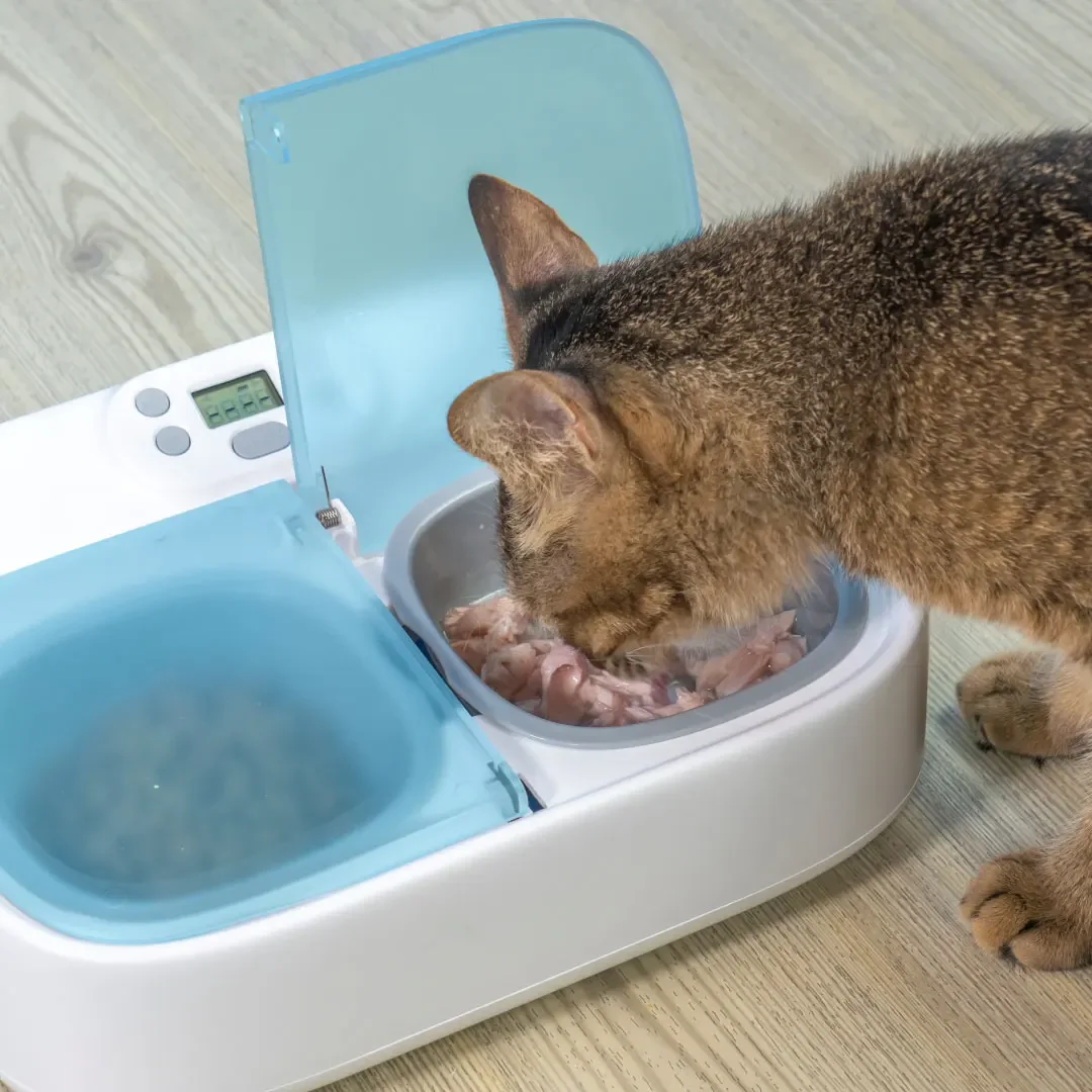 Smart Two Meal Cat Bowl, Slow Wireless Pet Feeder With App Control, Pet Accessories Supplies For Cats And Small Size Dogs