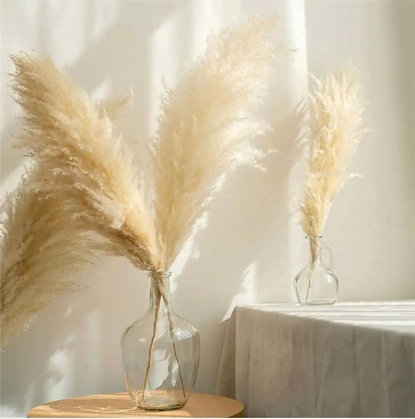 50-60cm Natural Fluffy Large Pampas Grass Wedding Arch Decor Dried Artificial Plants Pampas Home Decoration Outdoor Dry Flower