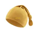 for Ginger Color