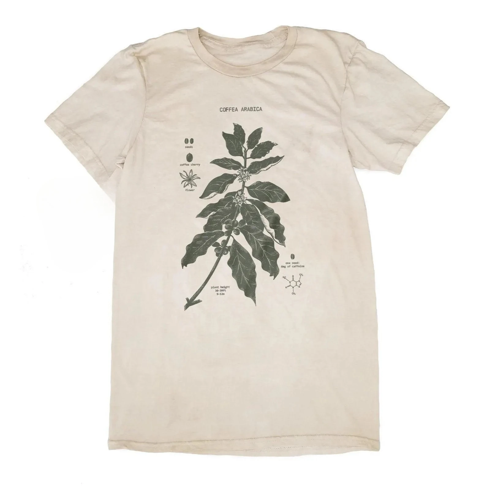 Camiseta con diagrama de botánica teñida de café, camiseta de café teñida con pantalla impresa, arte de café botánico, ropa cómoda para hombre