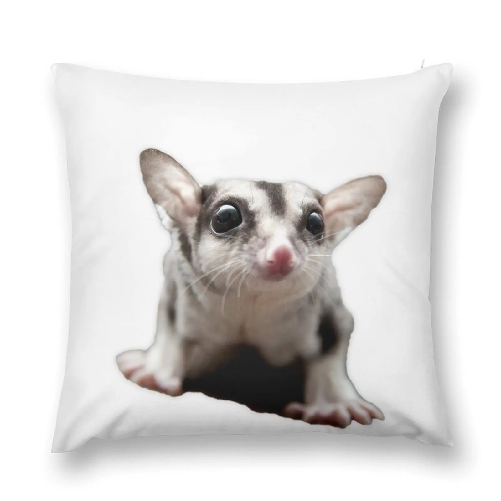 

Sugar Glider Throw Pillow Cushions For Children sleeping pillows pillow pillowcase pillow