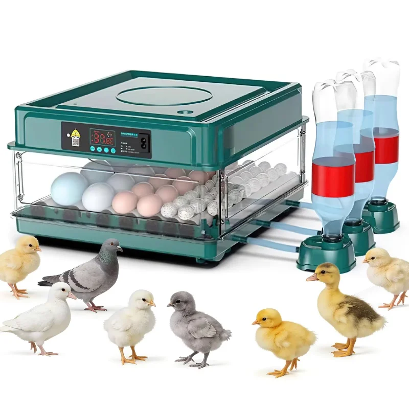 Incubadora de Ovos para 9/15/24/36 Ovos, Incubadora Automática para Aves, Codornas e Pequenos Ovos, Ferramenta de Incubação para Avicultura,