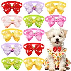 Lazos de frutas para perros y collar ajustable en gatos