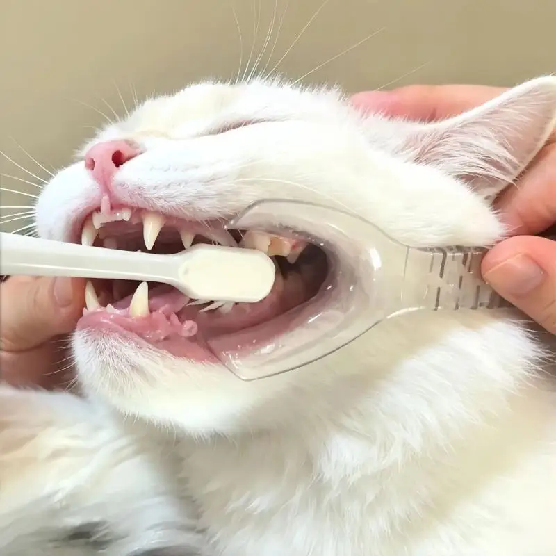 2Pcs Soft Edge Pet Mouth Opener Anti-Scratch Dental Retractor for Dogs Cats Teeth Brushing Tartar Cleaning Use