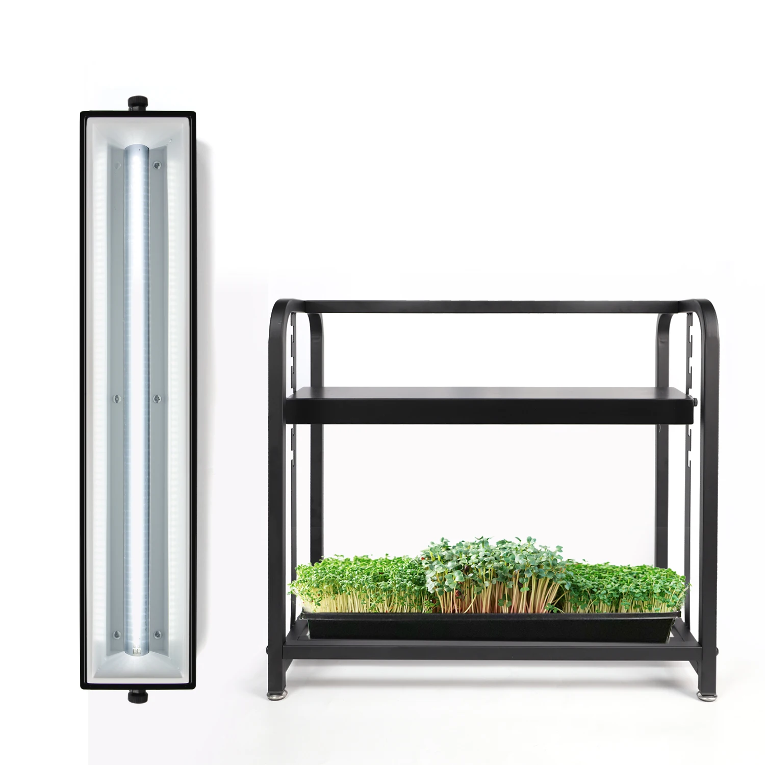 Indoor Home Huerto Desktop Display 1 Tray Succulent Microgreens Flowers Grow Kit Stand Mini Garden
