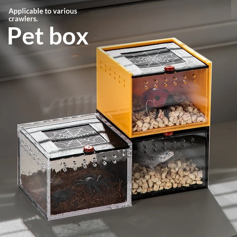 

Multi-Functional Acrylic Reptile Terrarium - Transparent Breeding Box for Spiders, Scorpions & Turtles with Ventilation Holes