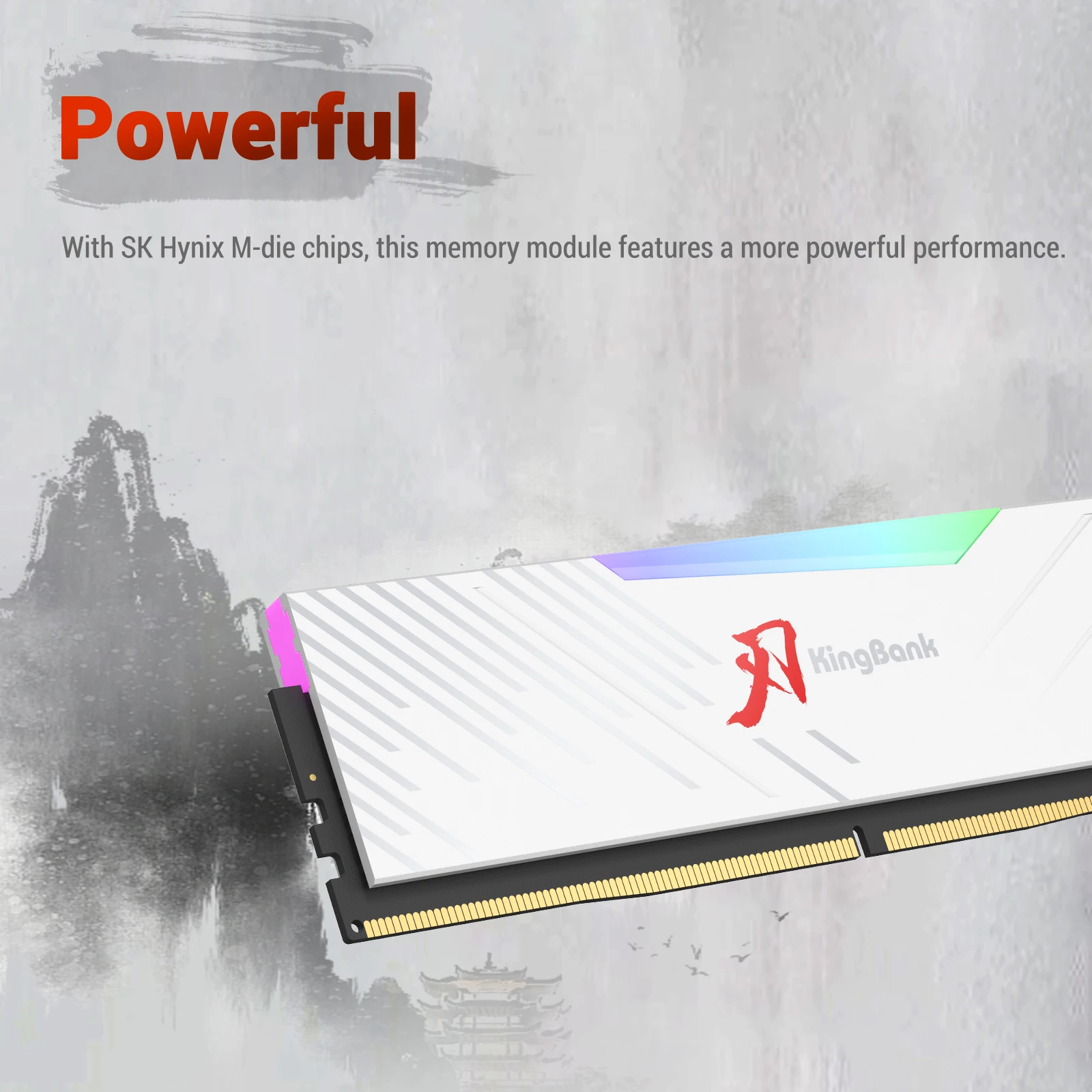 KingBank brand series DDR5 RGB - огляд і ціна Ddr5 4800Mhz