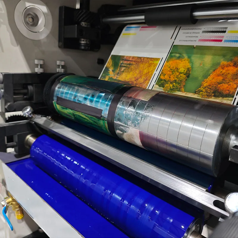 Rotary Printing Machine With Flexographic Technology For Plastic Film Label Stickers For High Volume Plastic Film Applications