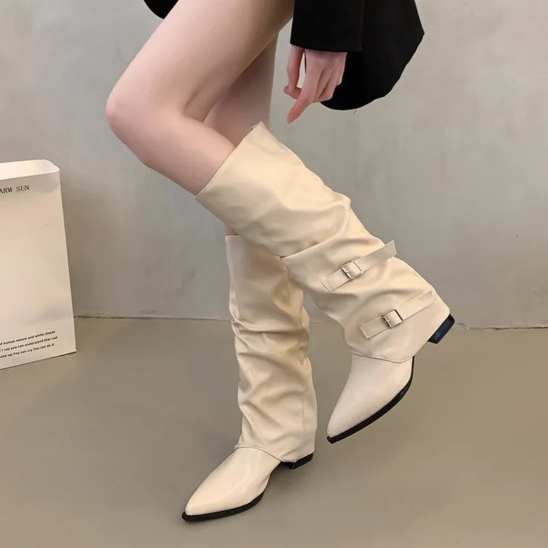 Botas de Tacón ueso para Mujer, Botas Largas con Punta en Pico para Primavera y Otoño, Botas de Tubo Largo, Botas de Caball...