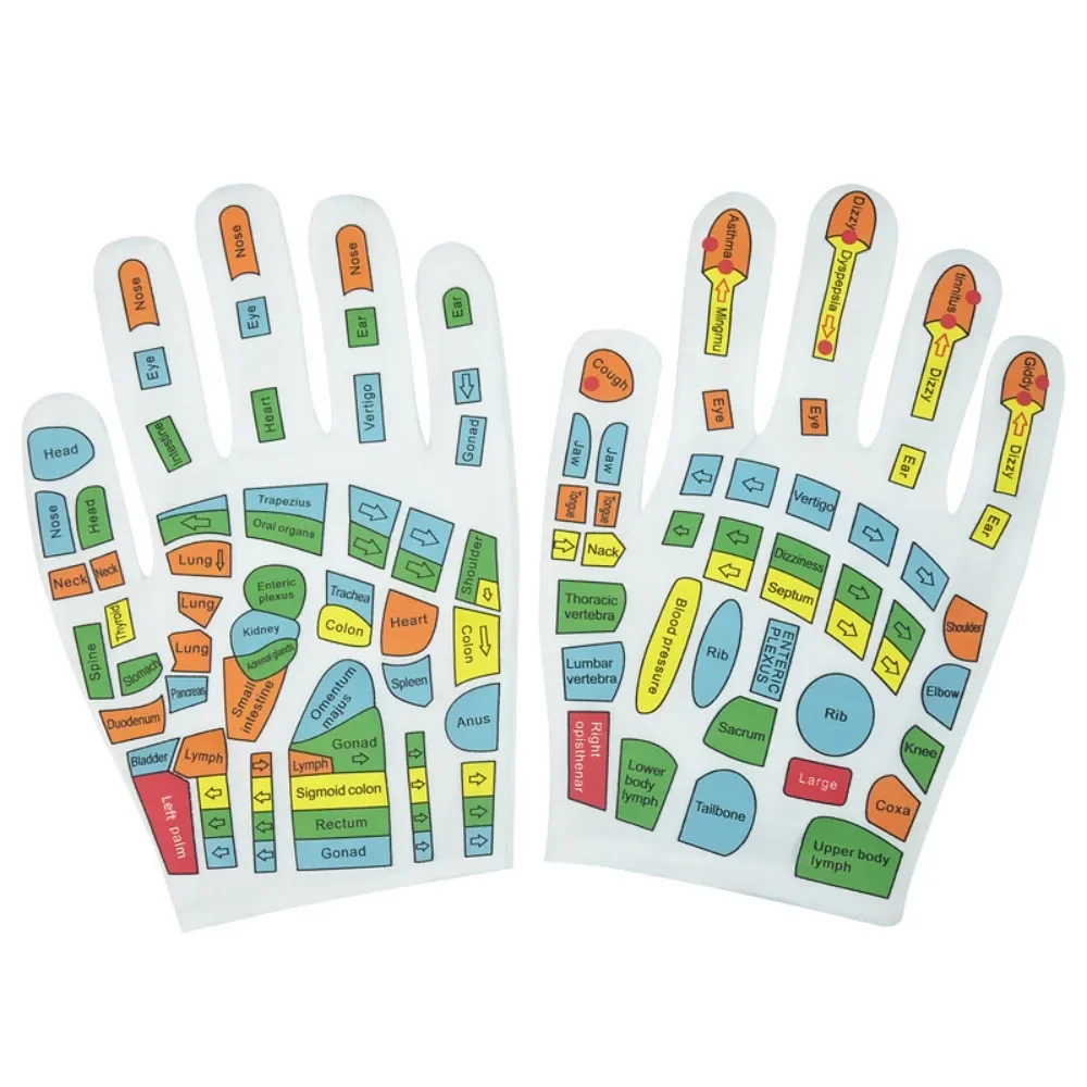 

Hand Massage Acupressure Socks Acupoint Gloves Hand Feet Reflexology Socks English Illustration Acupoint Tool with Massage Stick