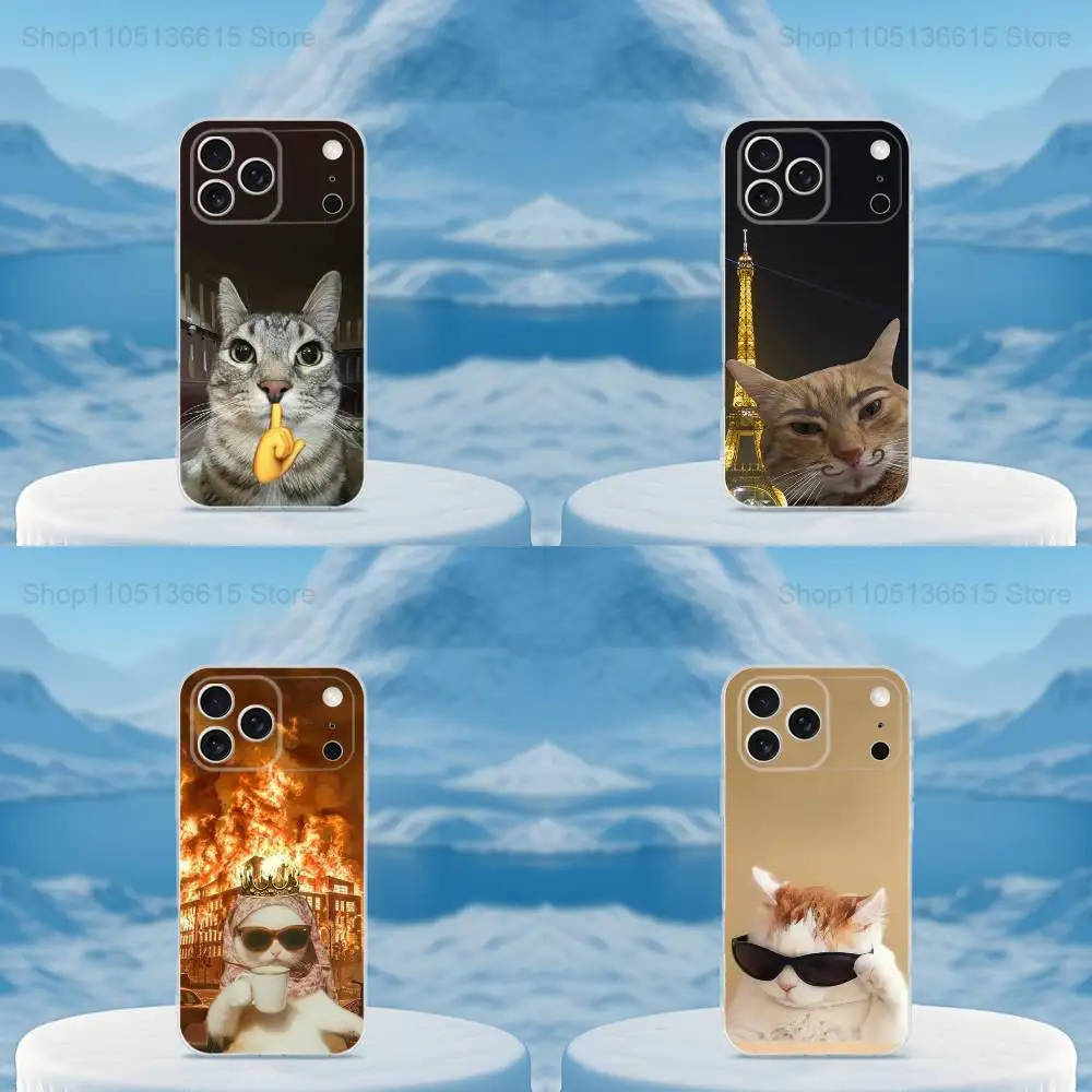

Funny Art Cat Memes Phone Case For iPhone 16,15,14,13,12,11,17 Pro,Max,Plus,X,XS,XR,SE,Mini Transparent Soft Cover