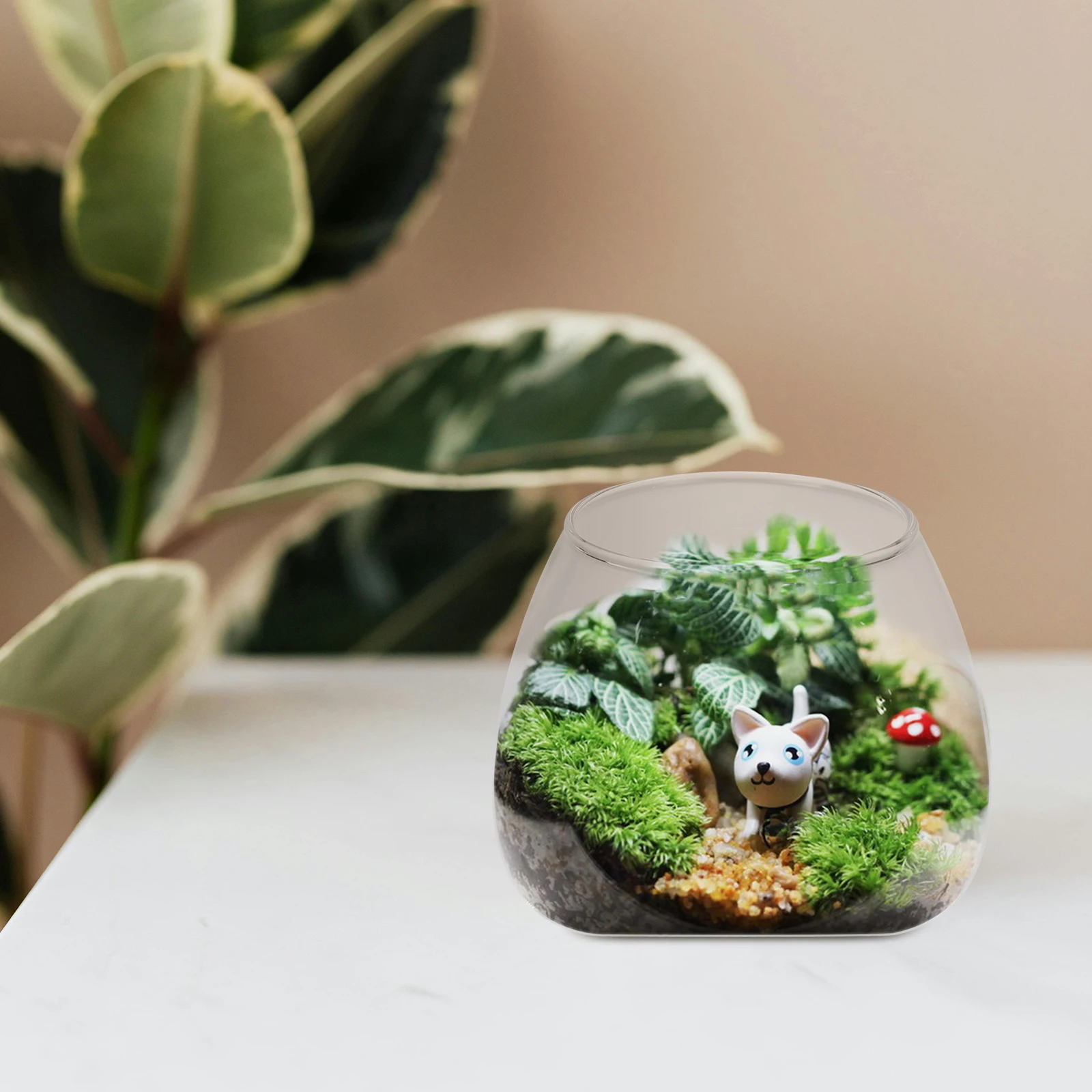 

1Pcs Moss Micro Landscape Bottle Creative Bevel Design Thickened Glass Container for Home Store Bedroom Decor Transparent