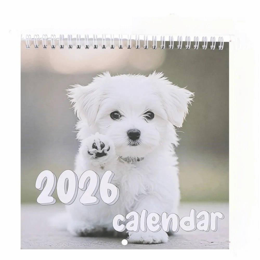 

2026 Wall Calendar 2026 Hangable Design 12 Month Layout Charming Cat Calendar Monthly Calendars Funny Cat Art Monthly Calendar
