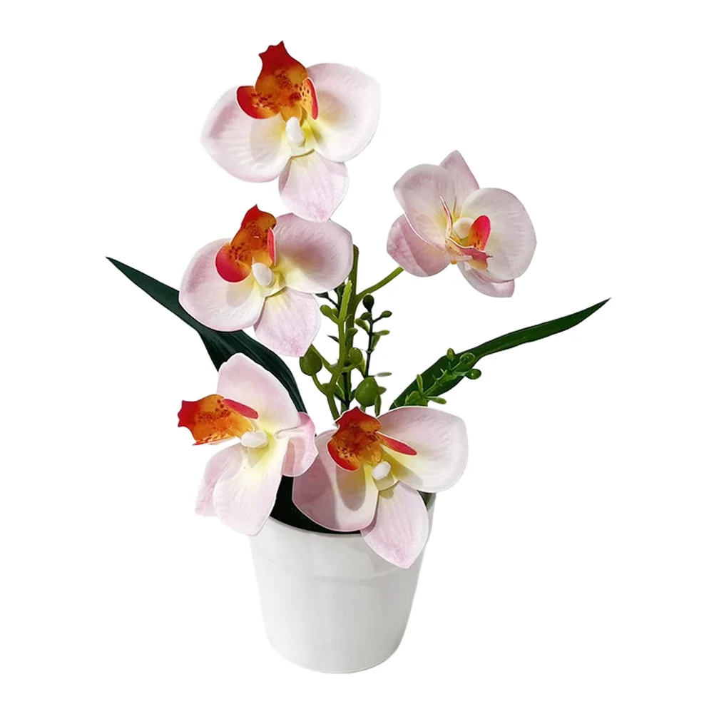 Indoor Butterfly Orchid Model in Pot for Styling Consistency Soft PE Silk Petals and Structurally Accurate Stem Support