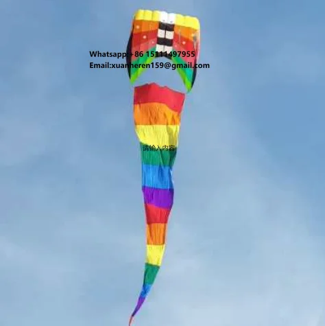 

Professional Single Line Parafoil Kite