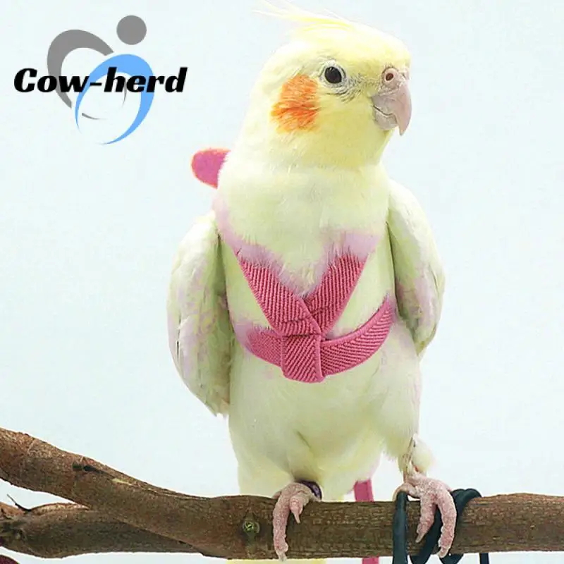 

Adjustable Parrot Bird Harness Leash Anti-bite Training Harness For Parrots Outdoor Walking Flying Rope Bird Supplies