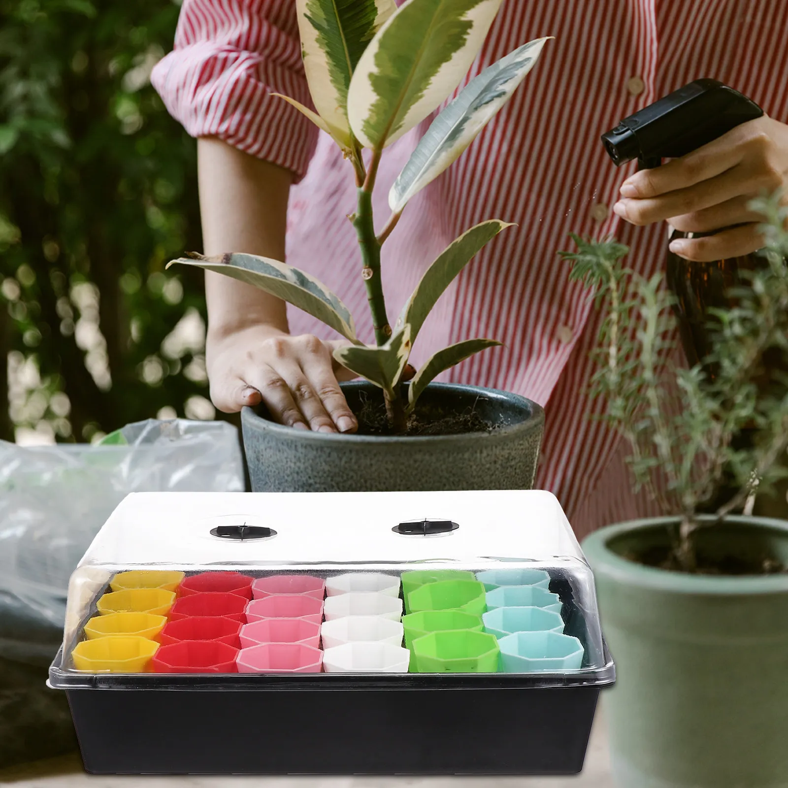 

1Set Plant Growing Tray Kit Starter Propagation Tray Transparent Dome Seedling Propagator for Garden Growing Trays