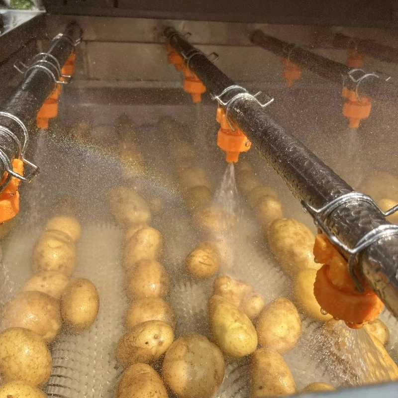 Industrial Onions Garlic Peeling Grading Drying Sorting Machine Potatoes Cleaning Sorting Machine