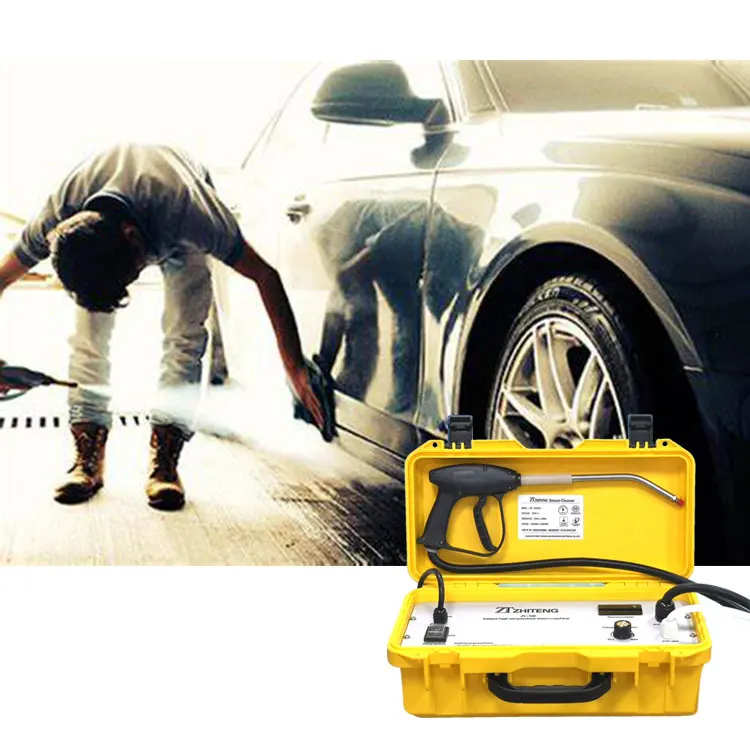 

3368W Personalized Custom Logo Manufacturing Portable Steam Cleaner Detachable Water Tank Carpet Steam Cleaners