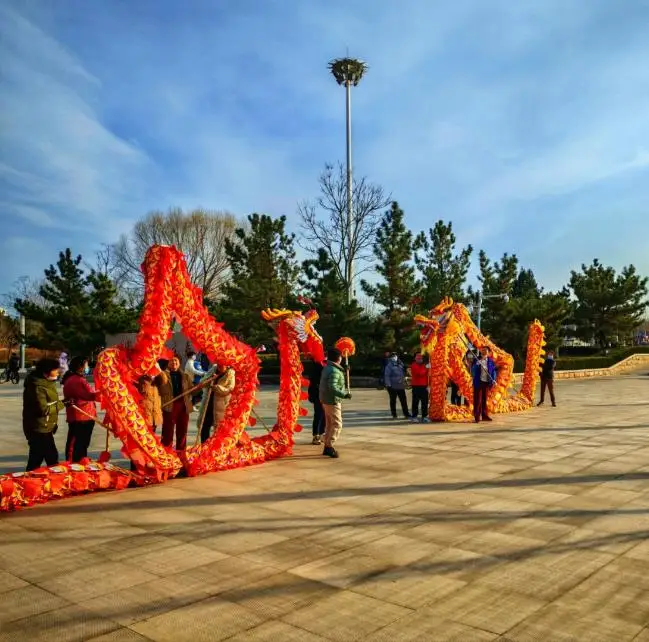 

10 Players 18m Dragon Dancen noinclud poles folk Adult Costume Silk size 4 Game Toys Event Performance Festival