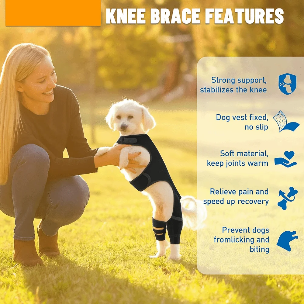 Thumbnail 2 - #10 Ranked Pet Agility Equipment Picks in 2026