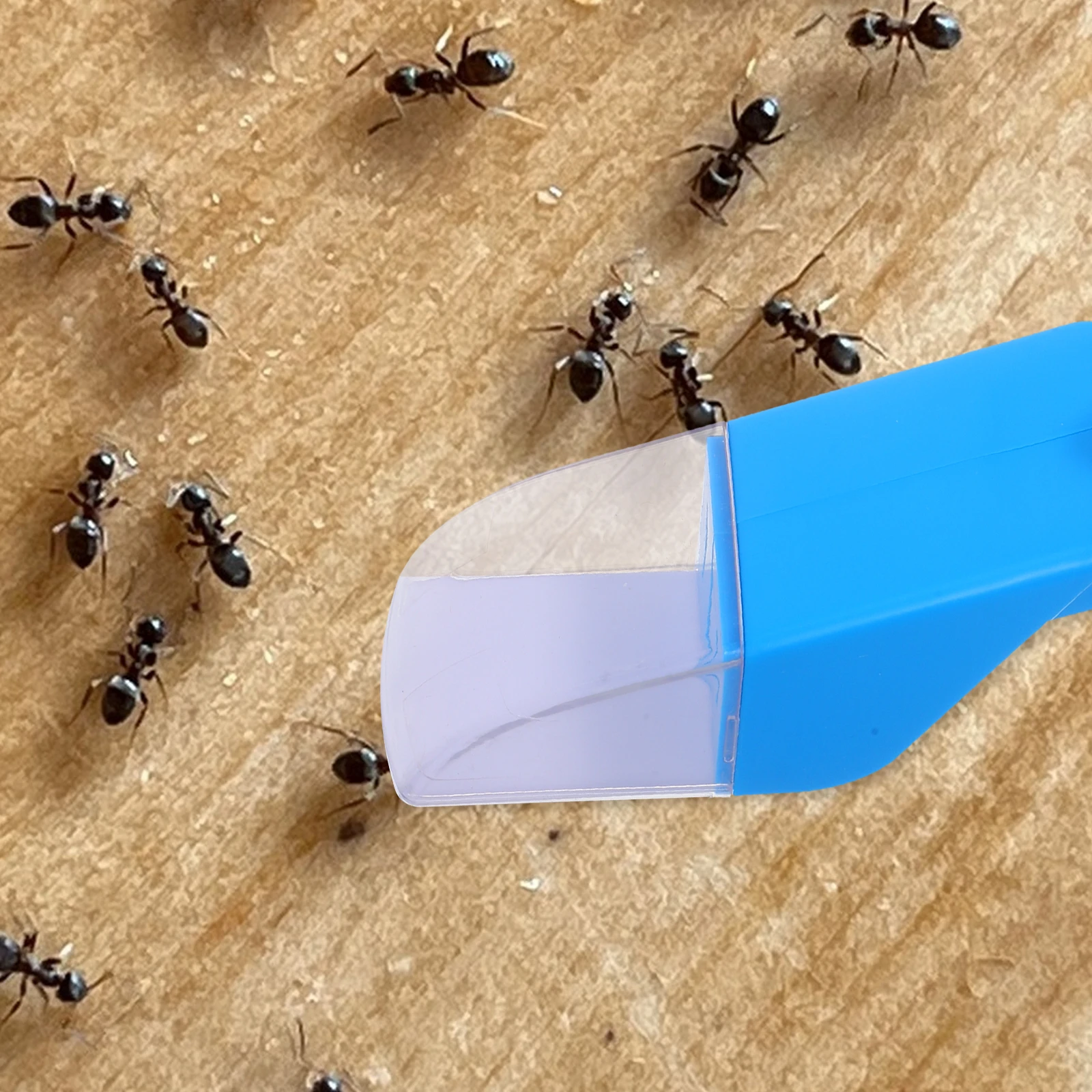 2 قطعة أداة الماسك الحشرات المحمولة لصائد الحشرات البشرية للعناكب والنحل والفراشات الخنافس مجموعة استكشاف الطبيعة للحديقة