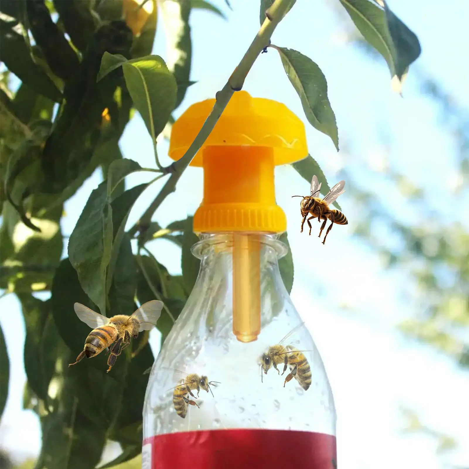 

Fruit Fly Traps For Indoors Fruit Fly Refill Liquid 10 Pieces Long Lasting Baits Safe Lures For Garden Farm Patio Protection