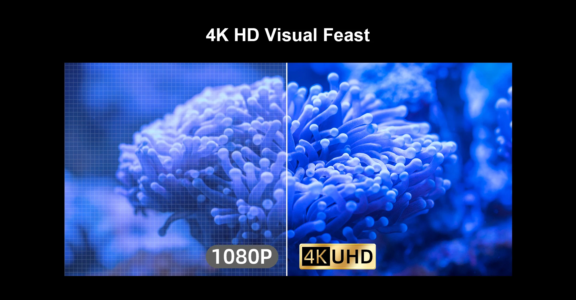 Nothing Projector Screen 4K CBSP 100 Inch For Laser Ust Projector Screen Pet Crystal Floor Rising CLR Motorized Projector Screen