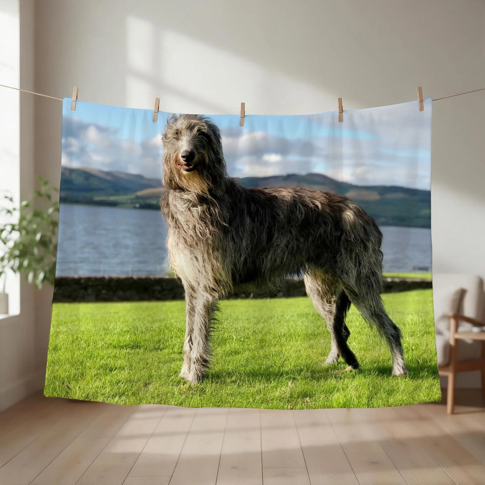 Stunning Scottish Deerhound in Scotland Throw Blanket couch cozy soft plush fuzzy picnic outdoor blanket