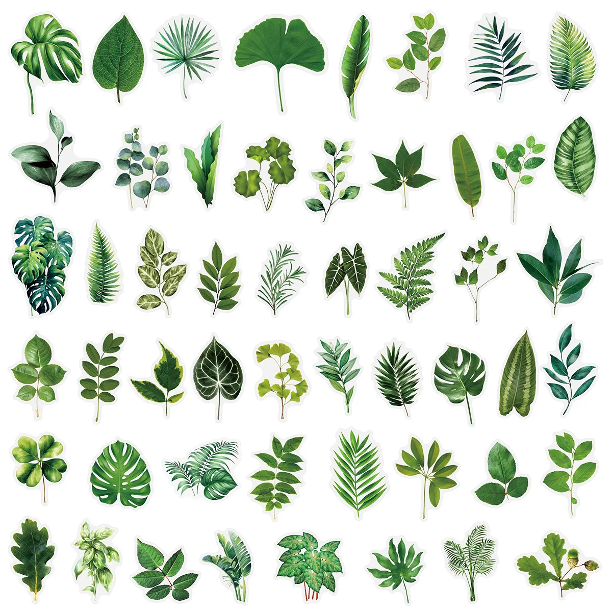 100PCS Transparent PET Green Plant Leaf Stickers Material Decorative Water Cups Stationery Notebook Room Waterproof Stickers