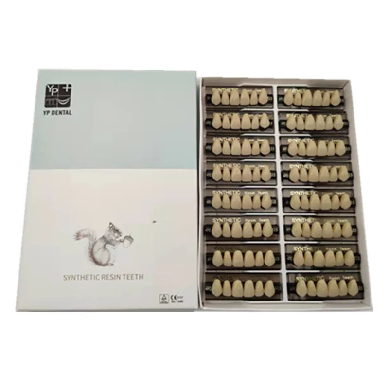 

50Boxes Dental Acrylic Resin Teeth Artificial Denture Teeth for Dental Lab Dental Technician Dental Technology