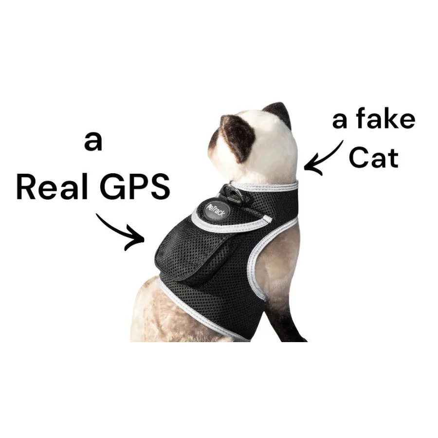 

Rechargeable Mini GPS Realtime Pet Tracking Collars for Hunting Dogs Size:XS
