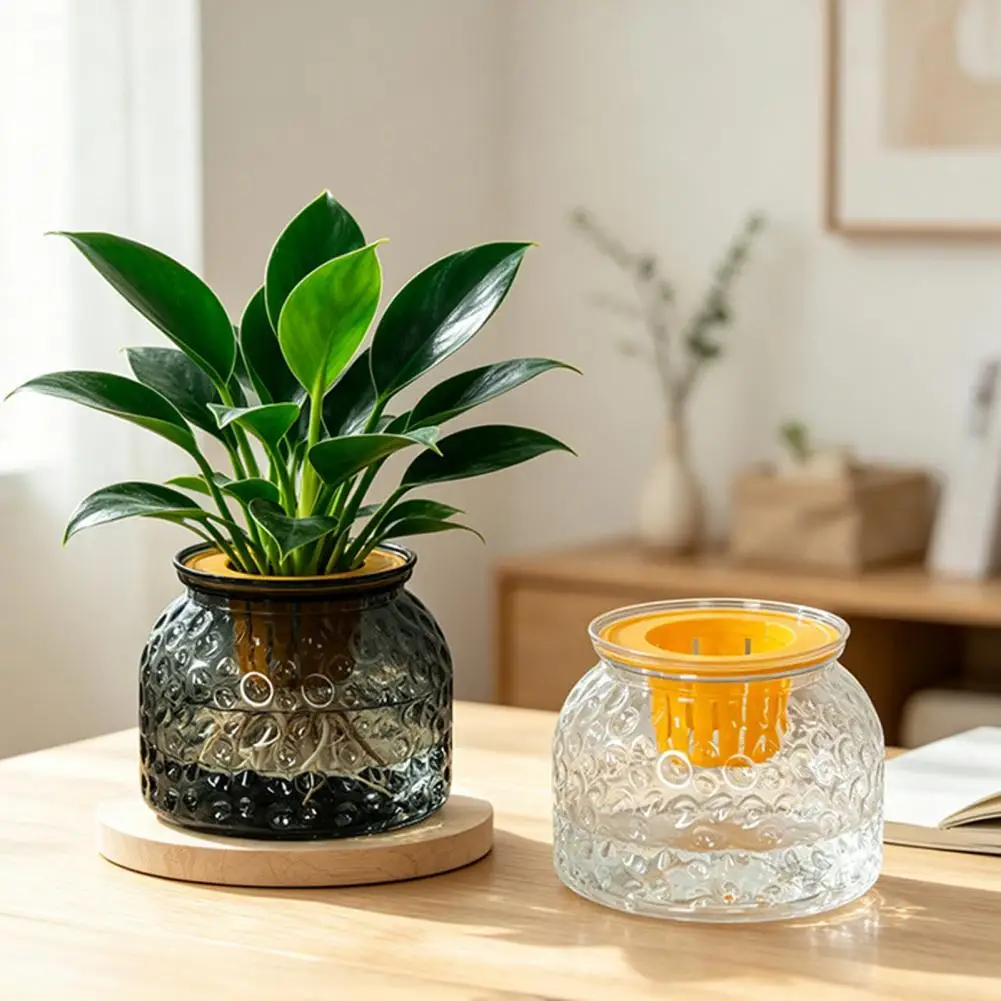 Glass Hydroponic Plant Vase Transparent Small Vase For Home Decoration Garden Aquatic Plant Planting Pots Plant Pots With Base