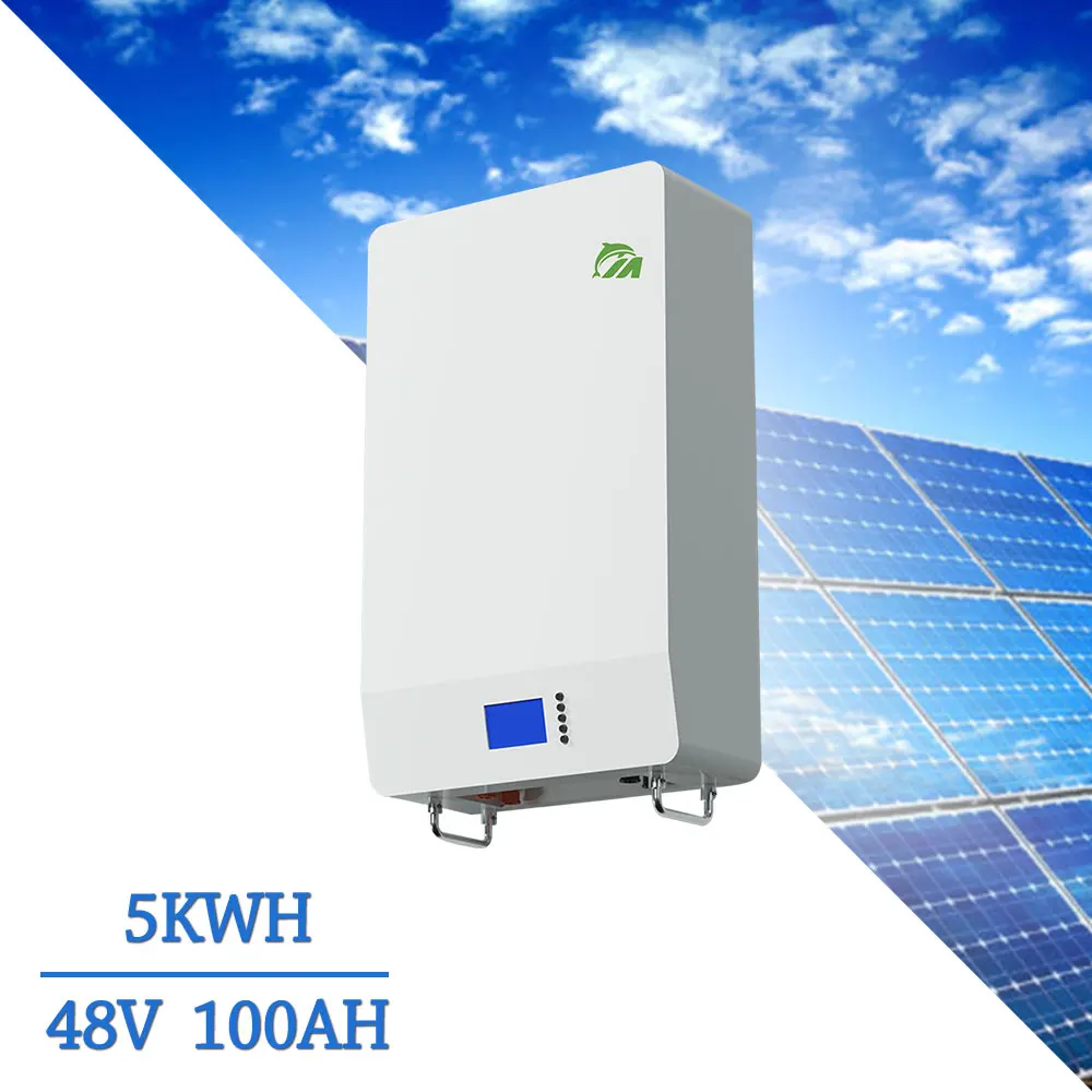 48V 50Ah 80Ah 100Ah 150Ah 200Ah LiFePO4 battery pack Solar energy system storage 51.2V solar energy battery storage system