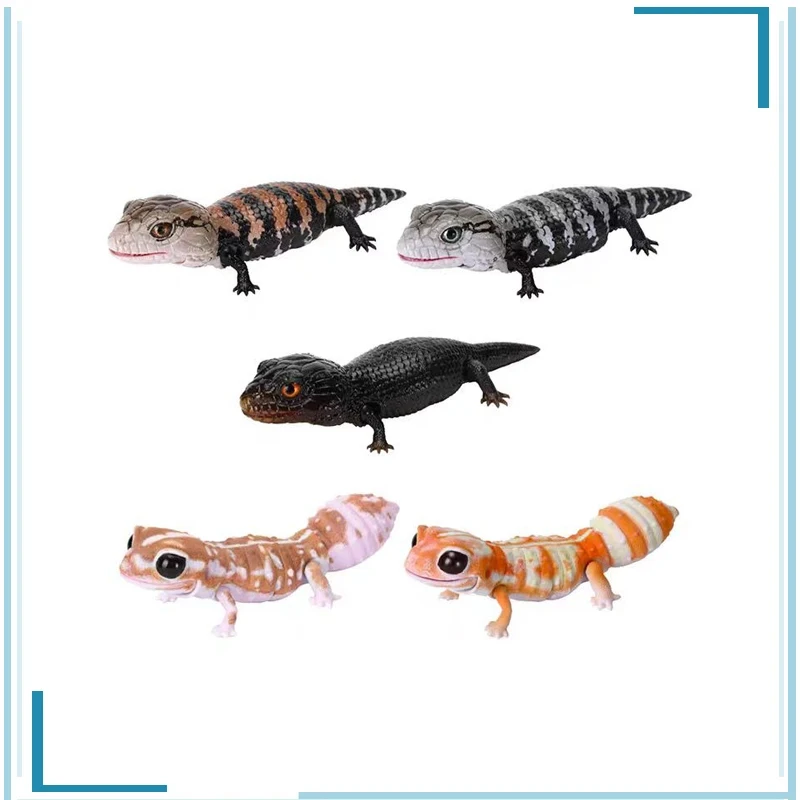 

BANDAI Biology Illustrated Guide Lizard Hemitheconyx Caudicinctus Movable Simulation Animal Collect Ornaments Figure Model Toys