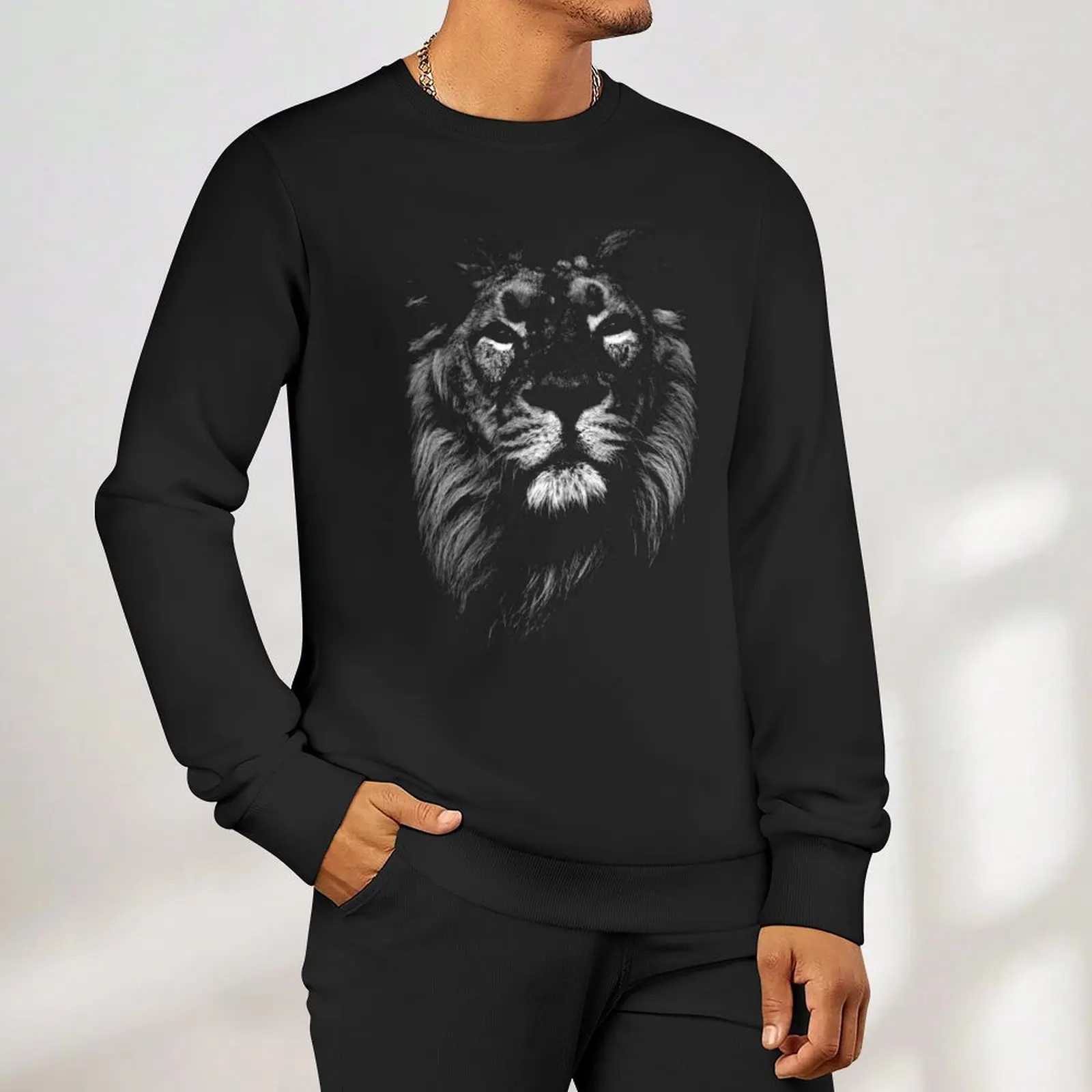 lion, indian lion Sweatshirt graphic t shirts men mens clothing streetwear men aesthetic sweatshirts