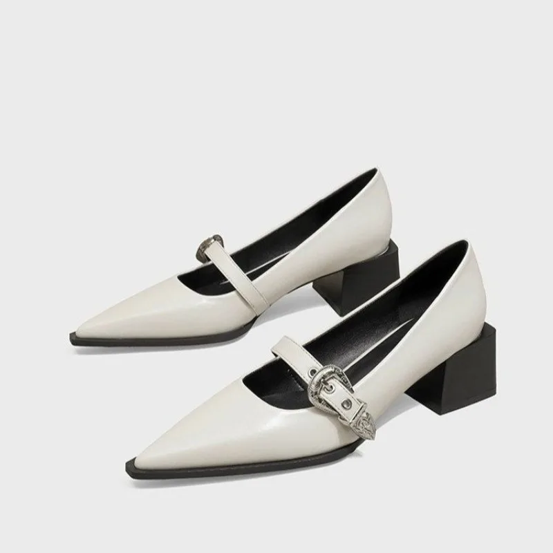 Designer Vintage Pointed Toe Women Mary Jane Shoes Fashion Shallow Buckle Shoes Spring Ladies Elegant Dress Thick Heel Shoes