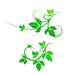 2 Pcs Spring Branch Leaf Flower Cutting Dies New Green Plant Metal Stencil For DIY Scrapbooking Embossing Gift Card Craft Decor