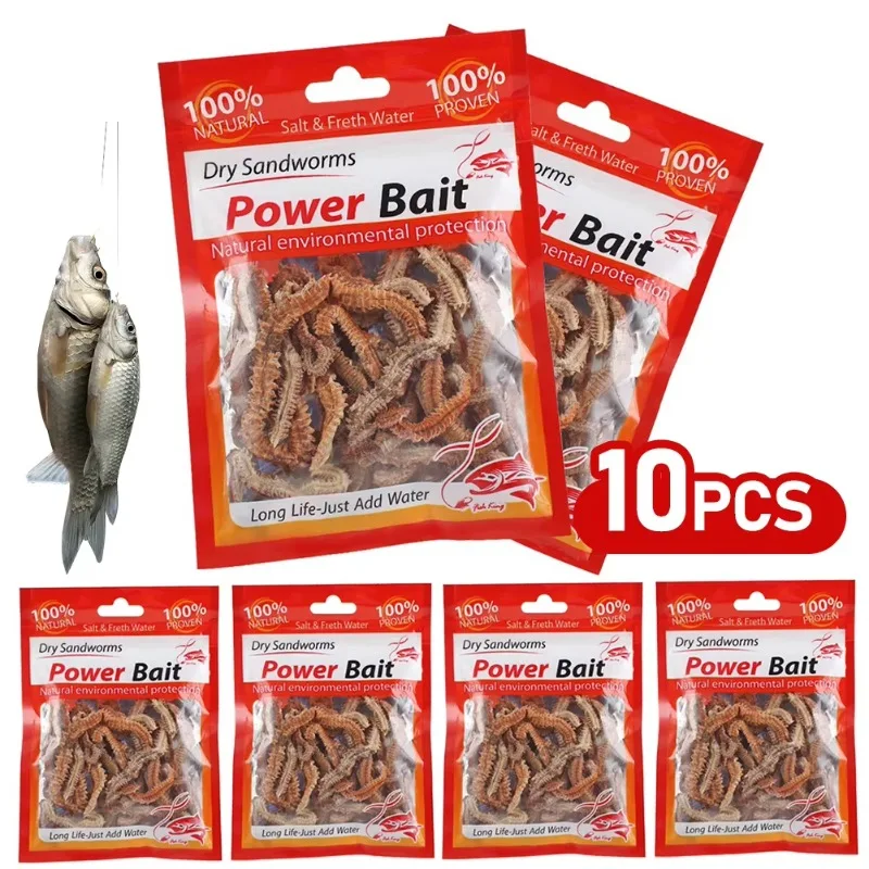 Dry Sandworms 1/3/5/10PCS Fishing Lures Lifelike Dry Lugworm Lures Soft Artificial Bait Saltwater Freshwater Feeder For Fishing