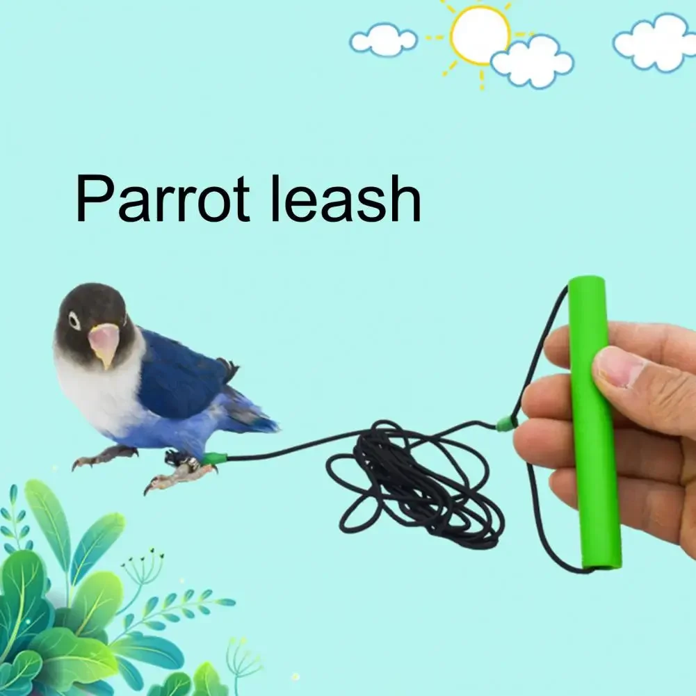 2-6M Anti-bite Flying Training Rope Parrot Bird Outdoor Flying Traveling Elastic Walking Rope Portable Pet Bird Harness Strap