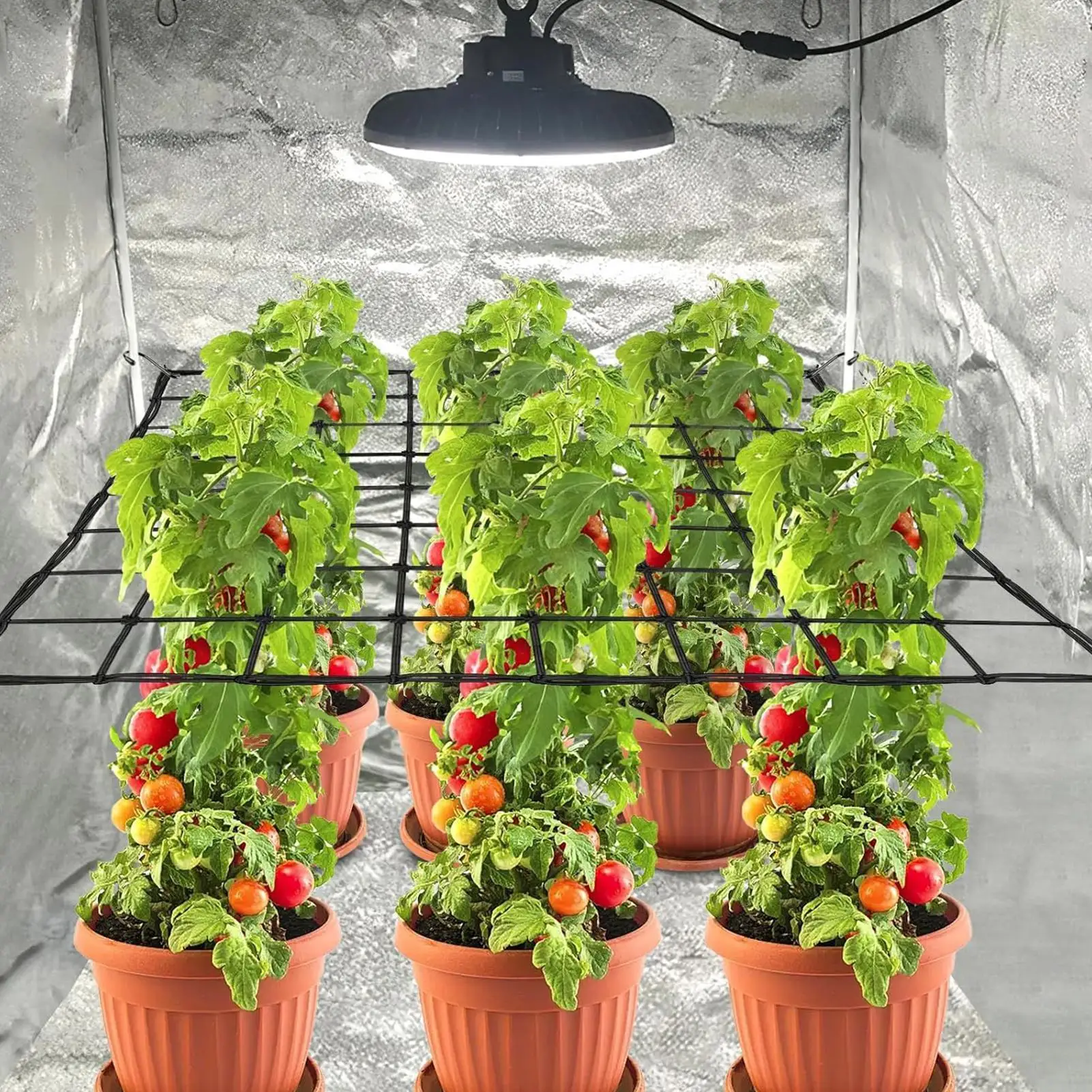 Elastic Planting Trellis Netting Reusable Tent Net Cover Garden Climbing Plant Trellis Grow Net For Tomatoes Cucumbers Peas Vine - view 4