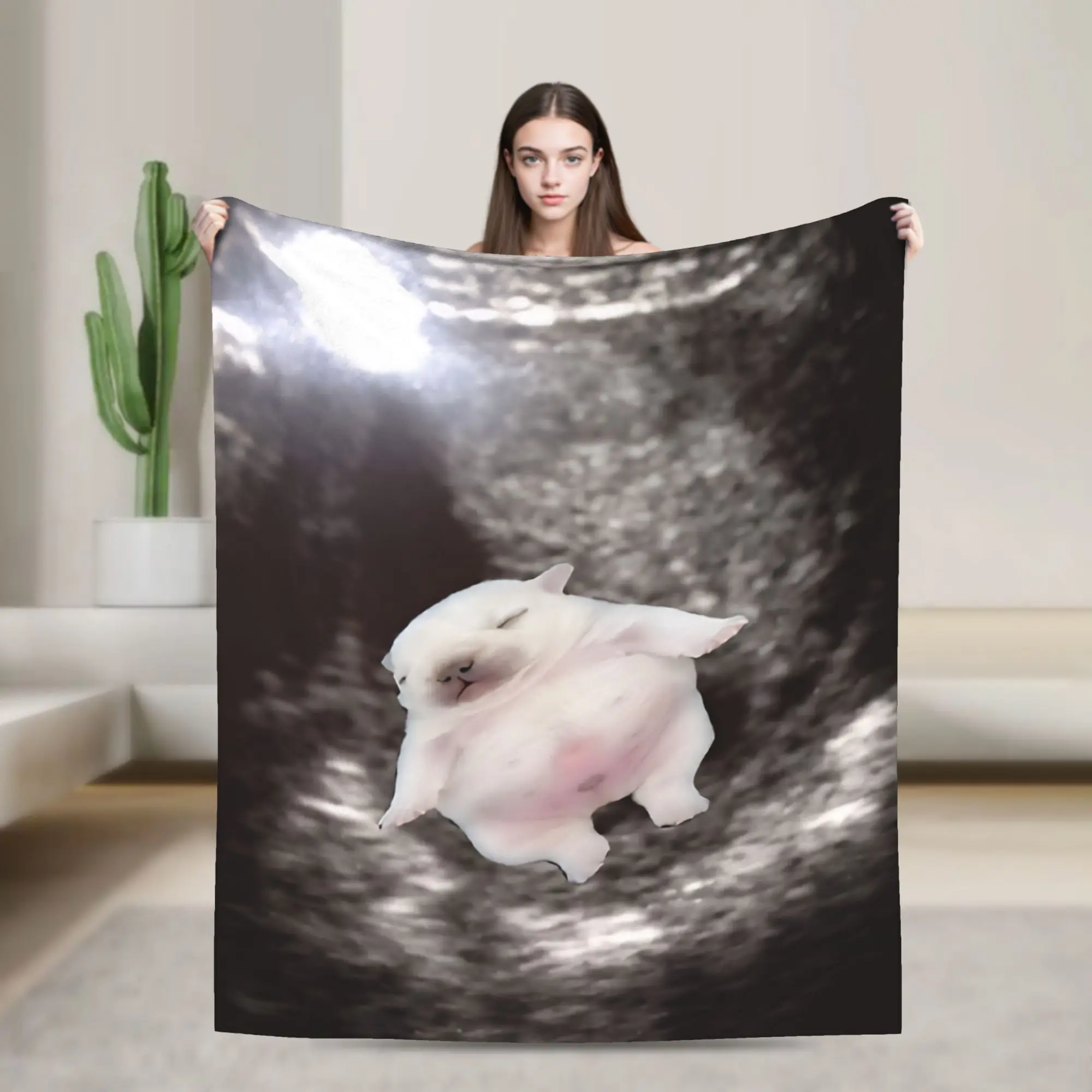 Stylish Pibble Meme Wash My Belly  Blankets Lightweight Thin Coral Fleece Plush  Relax Throw Blankets Machine Washable